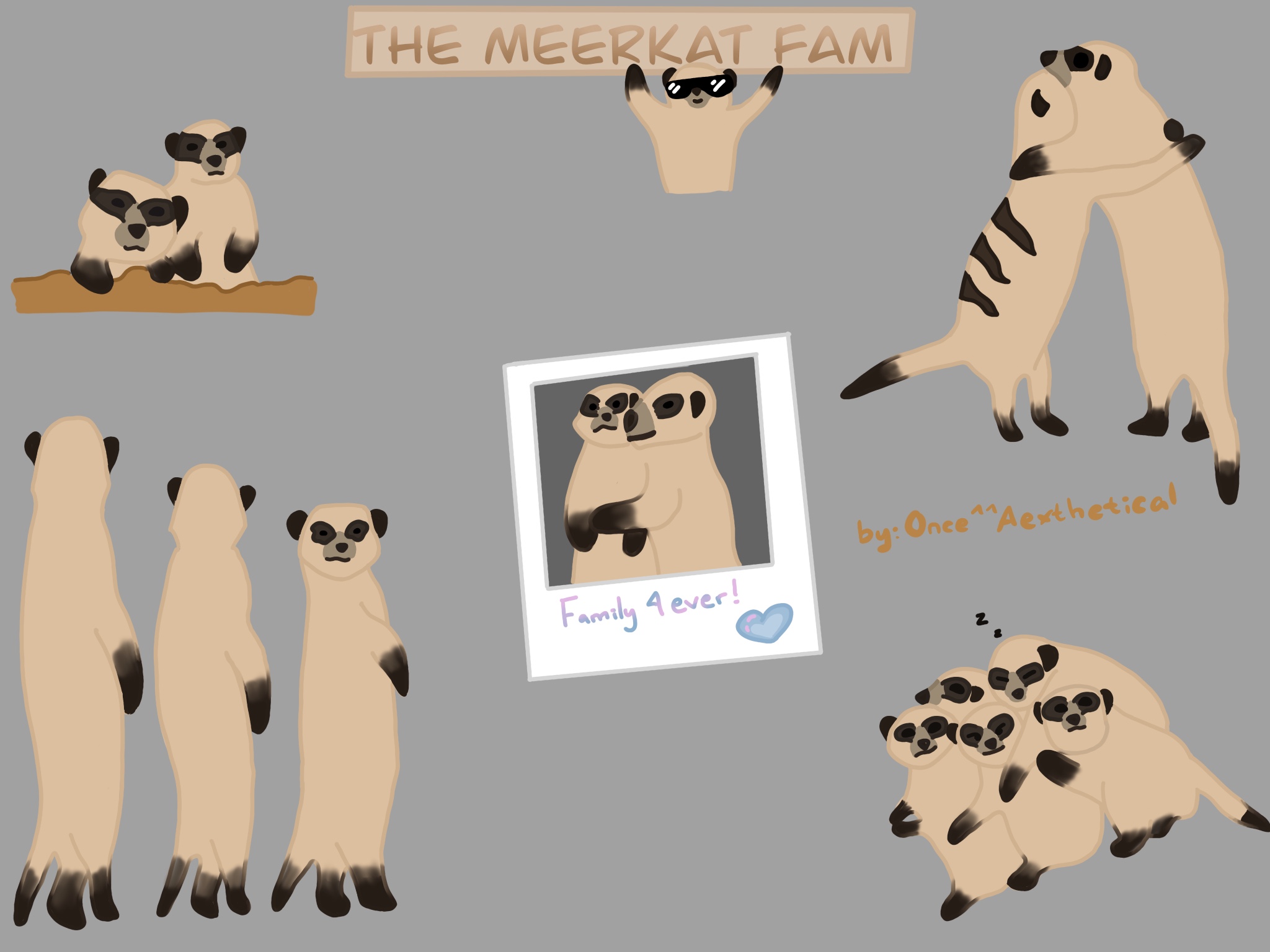 Meerkat, Adopt Me! Wiki