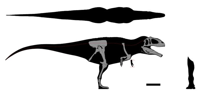 Tyrannotitan and Acrocanthosaurus GDI | Fandom