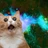 BotCat3's avatar