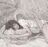 Defonotblonde's avatar