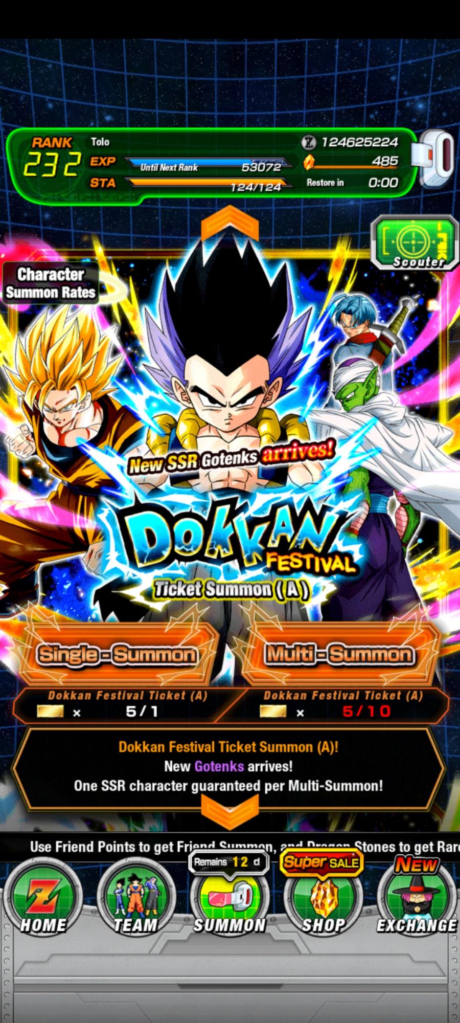 Dokkan Festival A/B Tickets Fandom