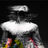 Blake222007's avatar