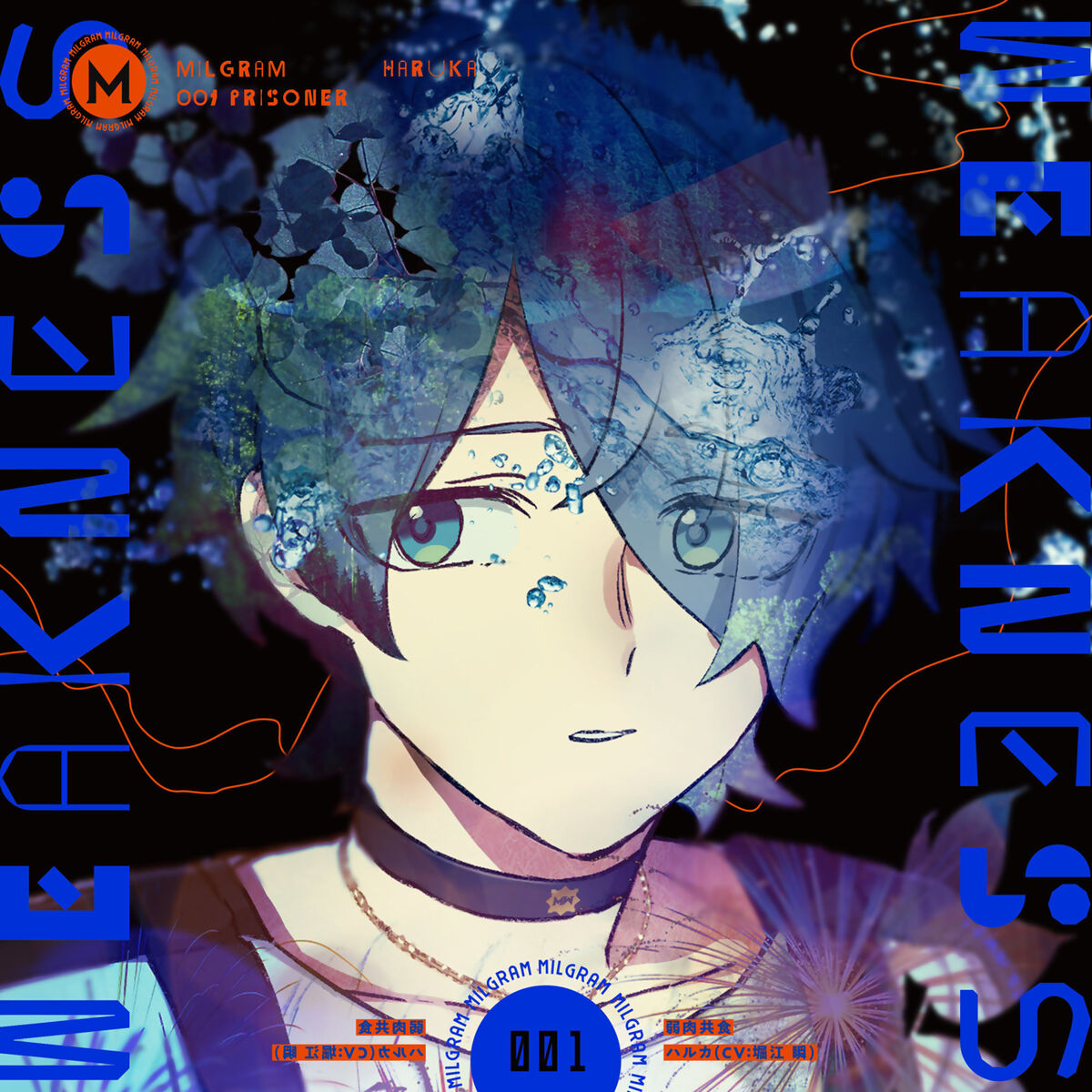 Illuminate Your Responsibility) Midori Takamine | The