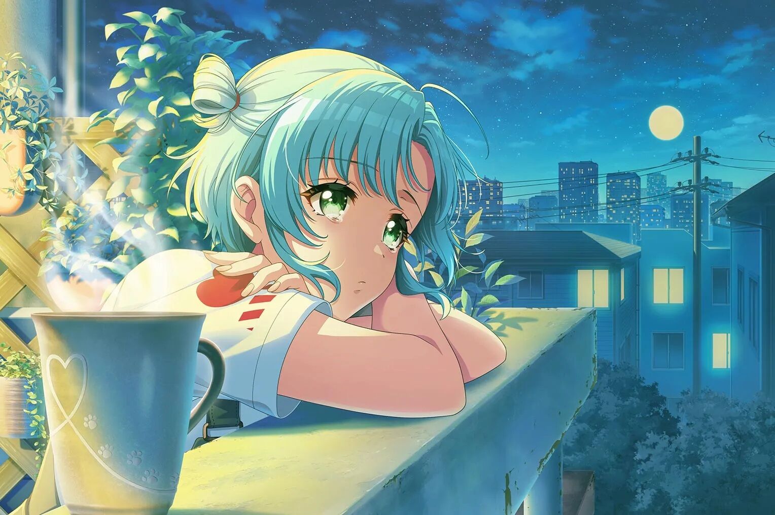 Sky Night | Dig Delight Direct Drive DJ Wiki | Fandom