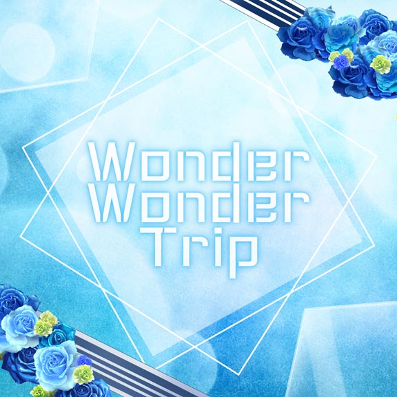 Wonder Wonder Trip Dig Delight Direct Drive Dj Wiki Fandom