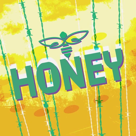 HONEY | Dig Delight Direct Drive DJ Wiki | Fandom