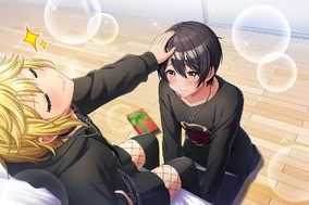 The Holy Night, Where Stars Serenely Glisten | Dig Delight Direct