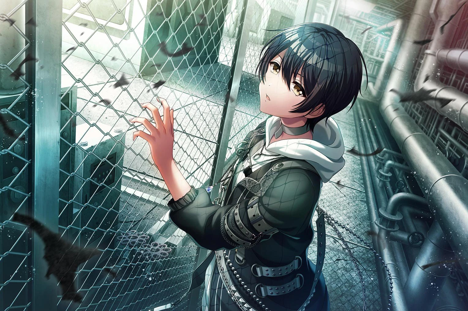 【未開封】the GazettE 22nd Anniversary AOI ベア the GazettE 22nd Anniversary AOI ベア