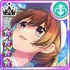 Card Icon 202404 E158 PP1
