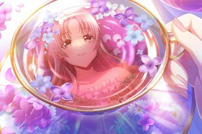 Mirror Blossoms | Dig Delight Direct Drive DJ Wiki | Fandom