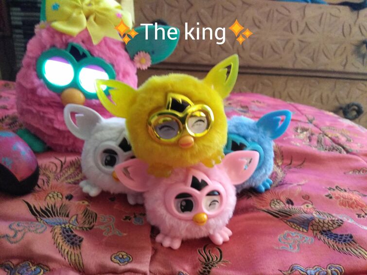 Discuss Everything About Official Furby Wiki Fandom