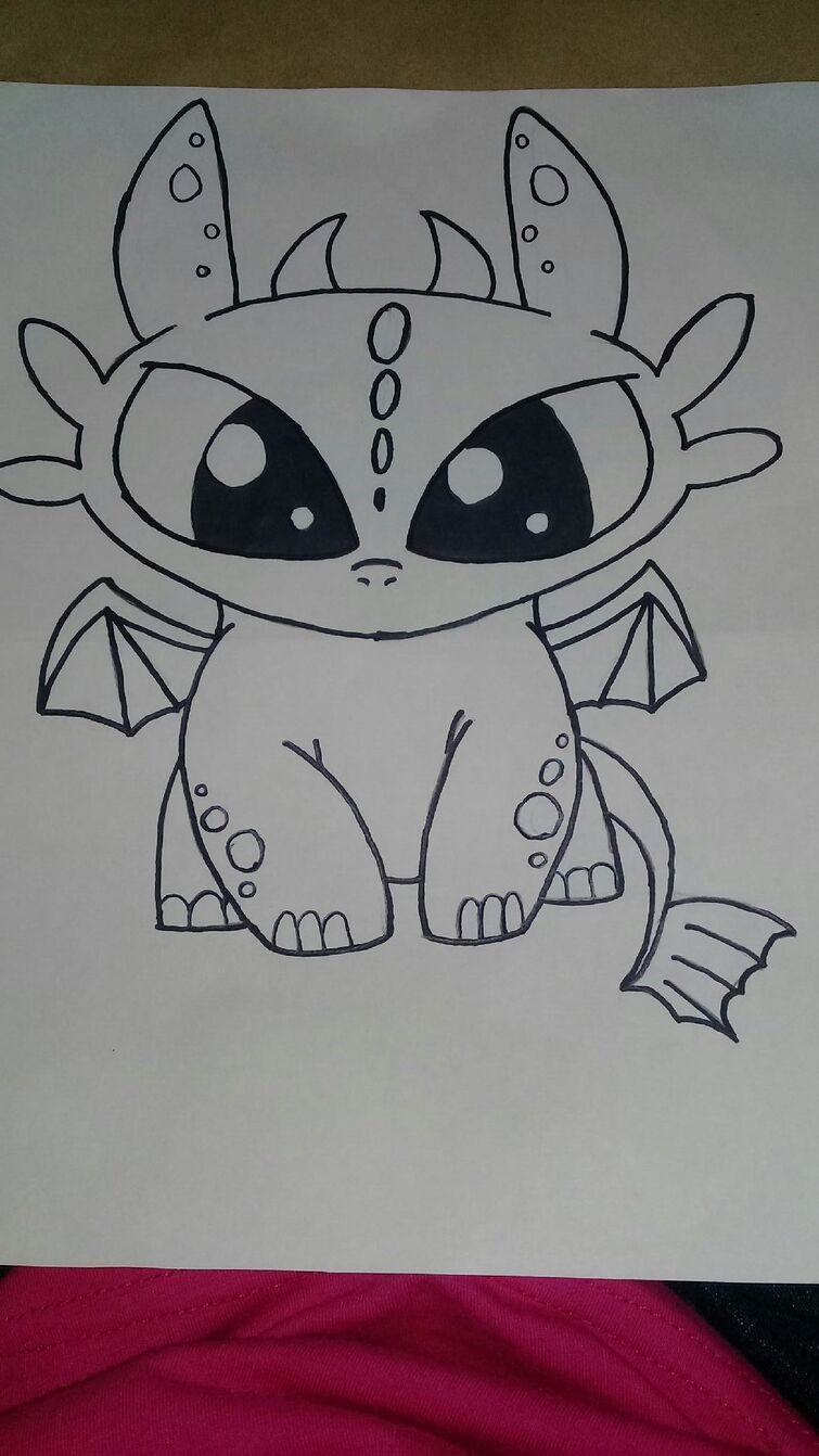 how to train your dragon toothless adorable