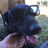 Hunterrrr B's avatar