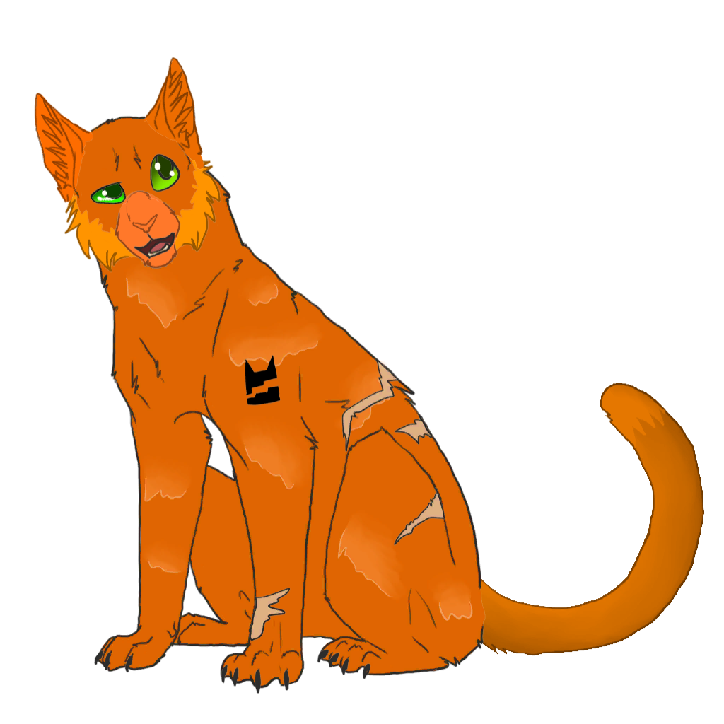 Коты воители ветряная звезда. Коты воители громозвёзд и фиалковая заря. Громохвезд коты воители. Коты воители гром. Коты воители громозвёзд.