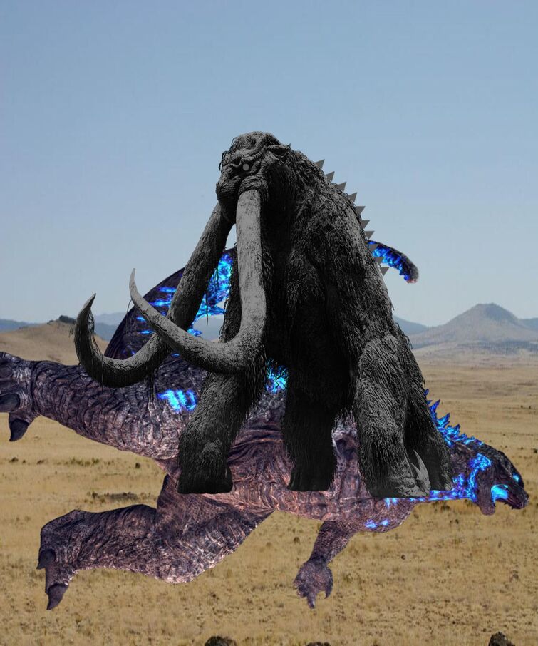 Fandom Image