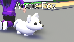 Лиса роблокс. Arctic Fox adopt me. Белая лиса из adopt me. Петы в адопт ми лиса. Arctic Fox adopt me РОБЛОКС.