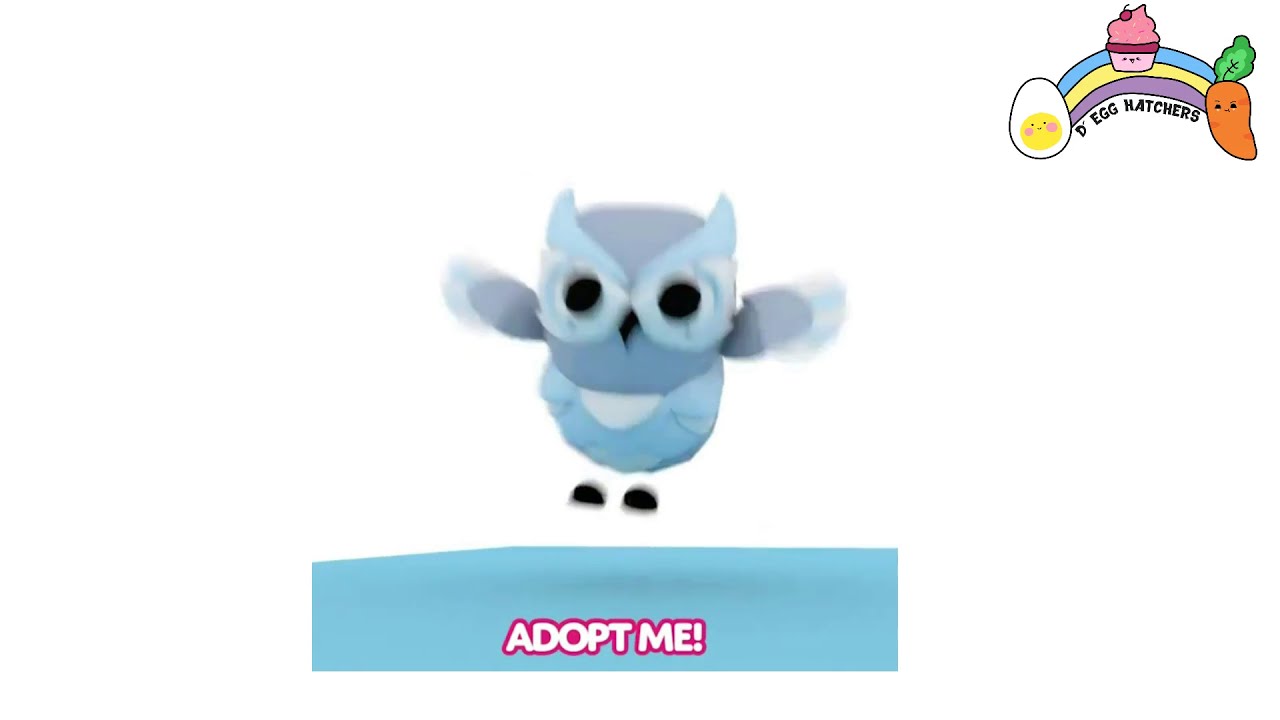 Do U Guys Like The New Adopt Me Owl Not In Game Yet But It S Coming Fandom