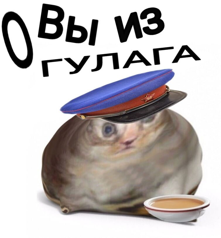 Мем о вы из англии с котом