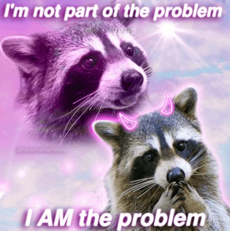 My favourite characters portrayed by raccoon memes, bc why not? | Fandom