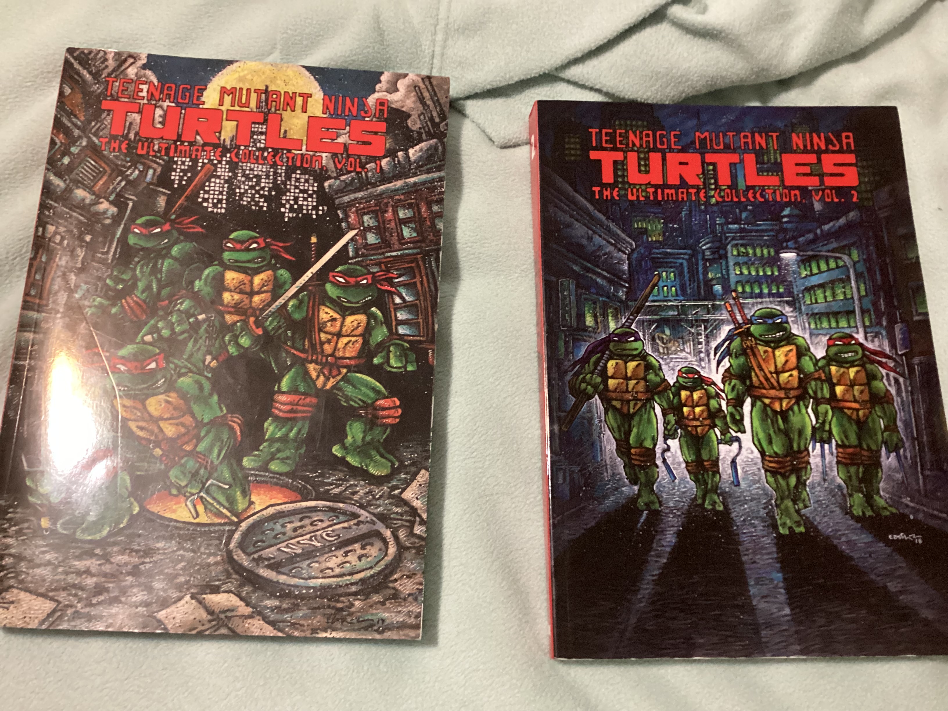 Teenage Mutant Ninja Turtles: The Ultimate Collection, Vol. 2