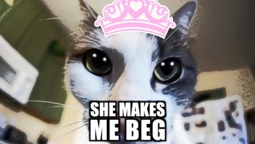 Discuss Everything About Talking Kitty Cat Wikia | Fandom