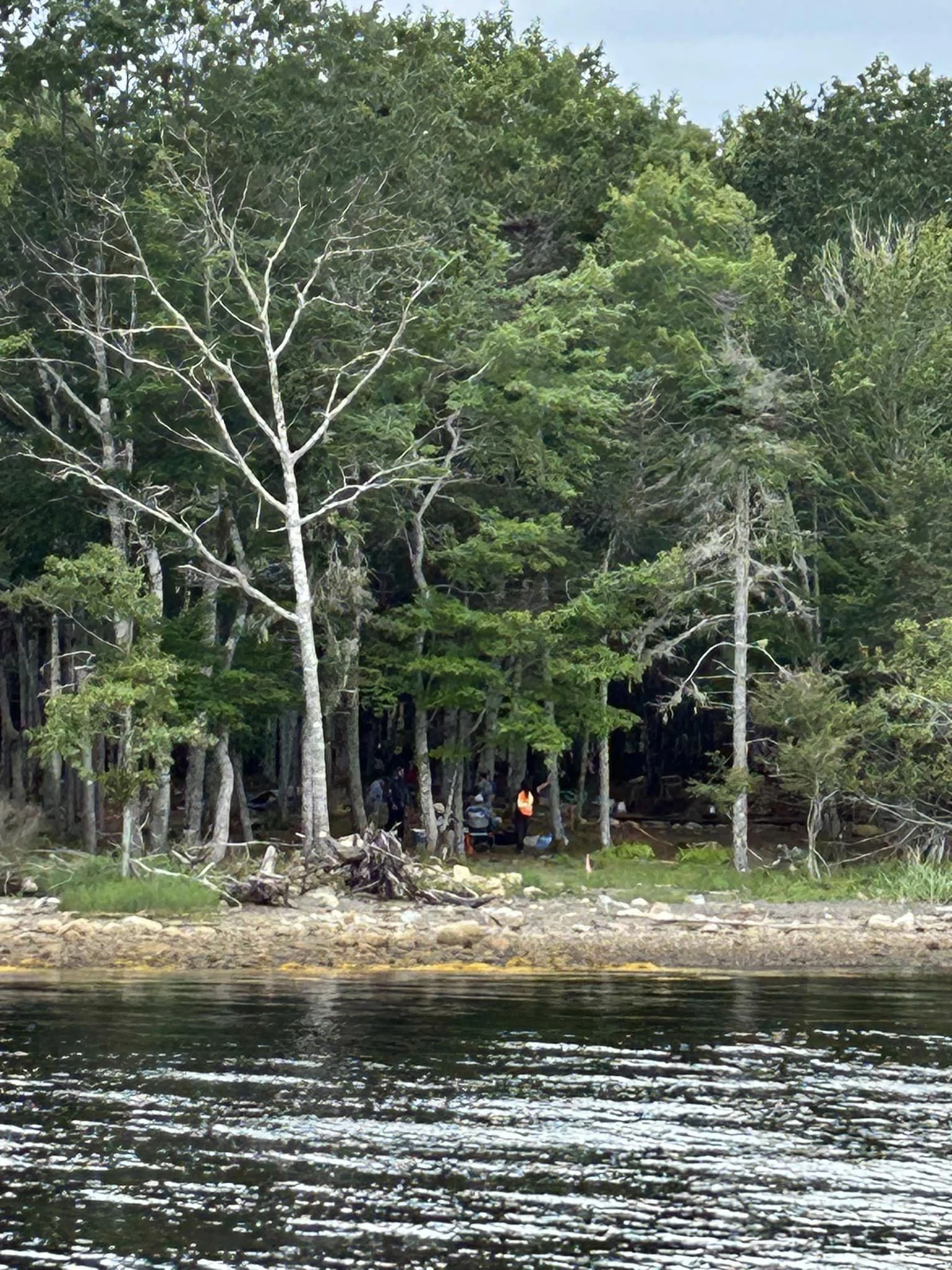 Camping/Roasting on Oak Island S11 Fandom