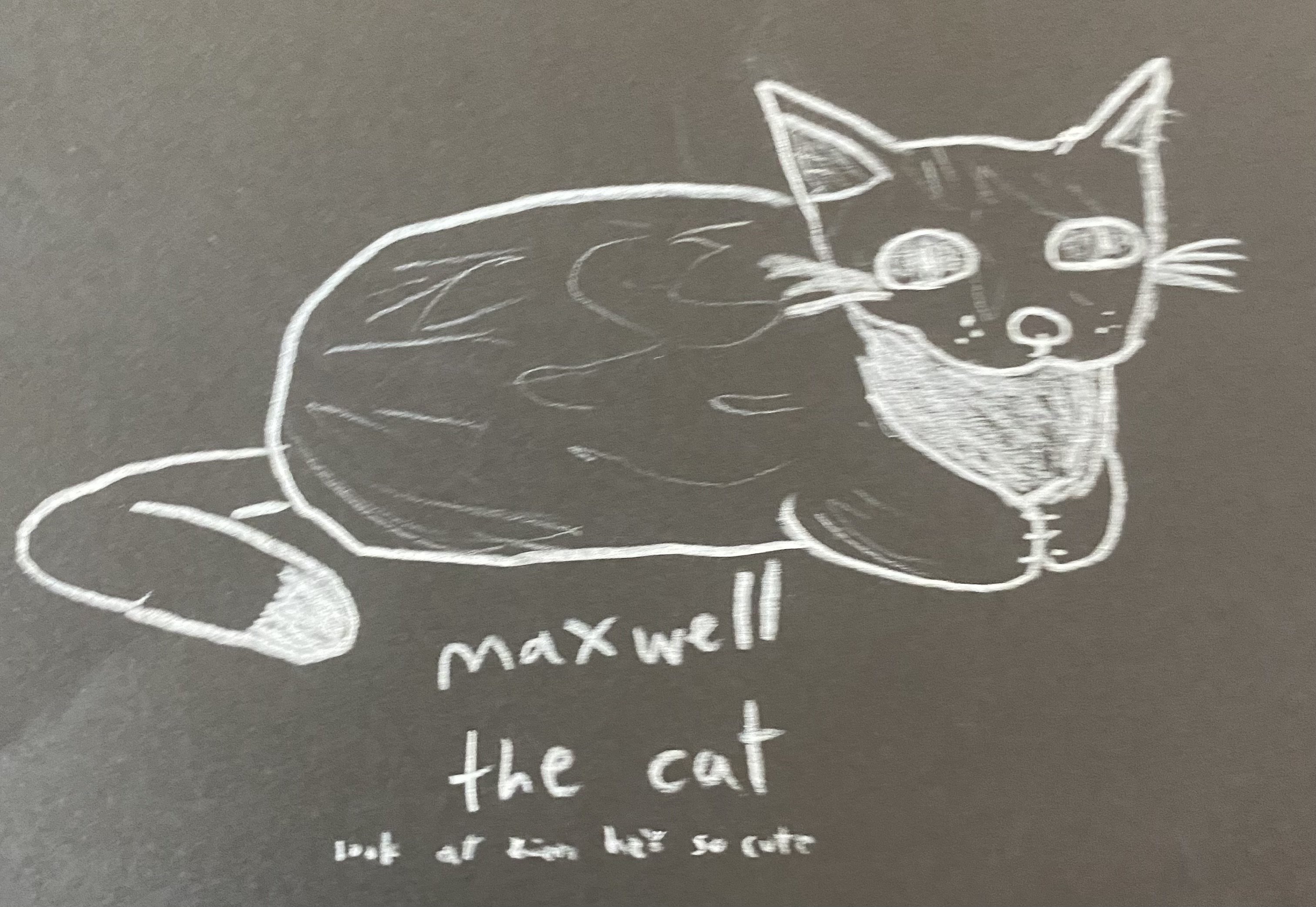maxwell the cat Fandom