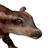 Delaney OwO's avatar