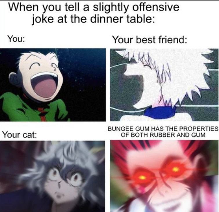 HxH memes Fandom