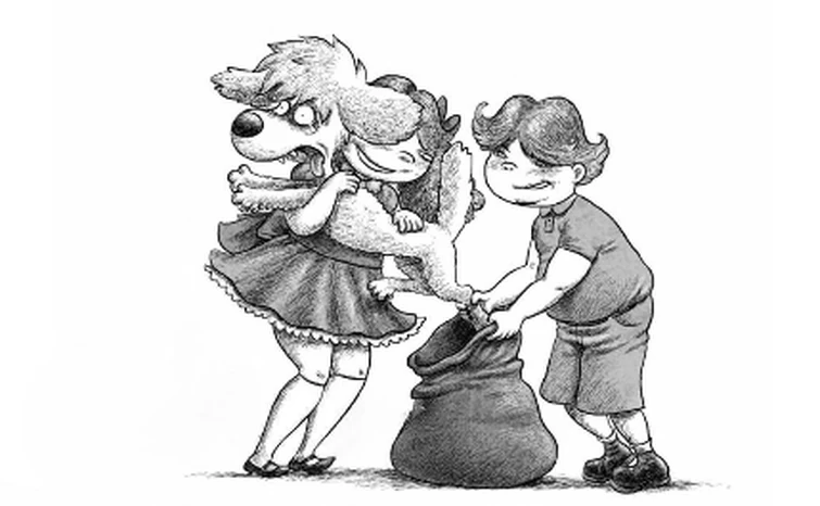 Fandom Image