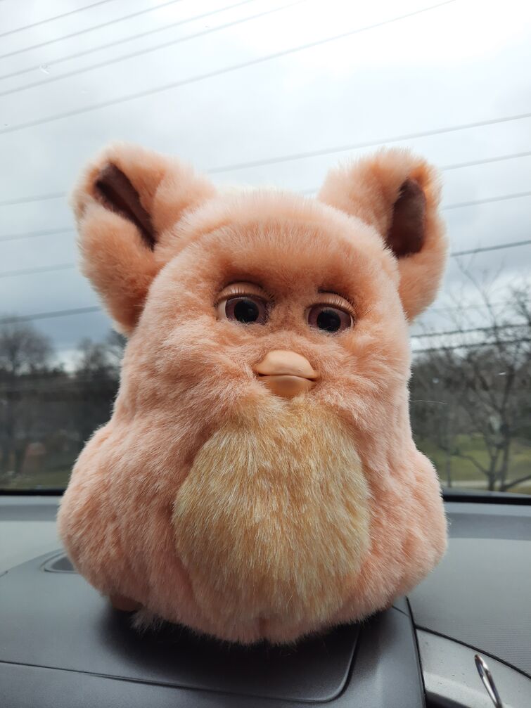 Orange hotsell 2005 furby