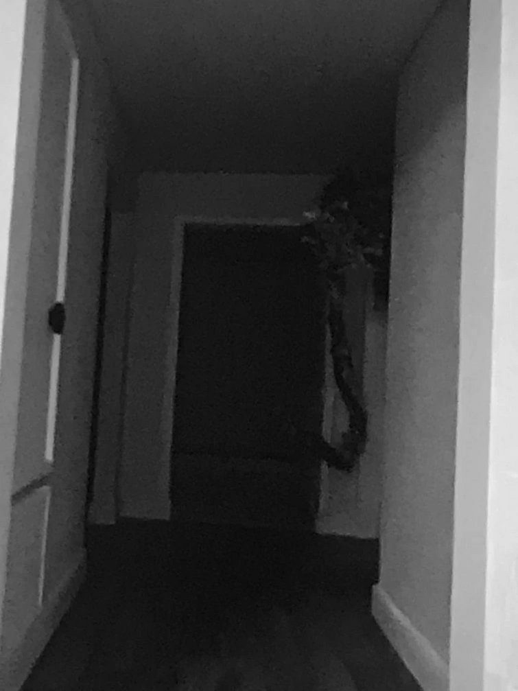 Discuss Everything About Kane Pixels Backrooms Wiki Fandom