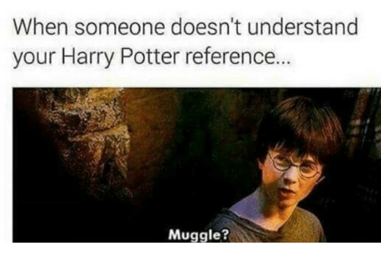 Muggle? Fandom