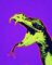 .snakesnuggles's avatar