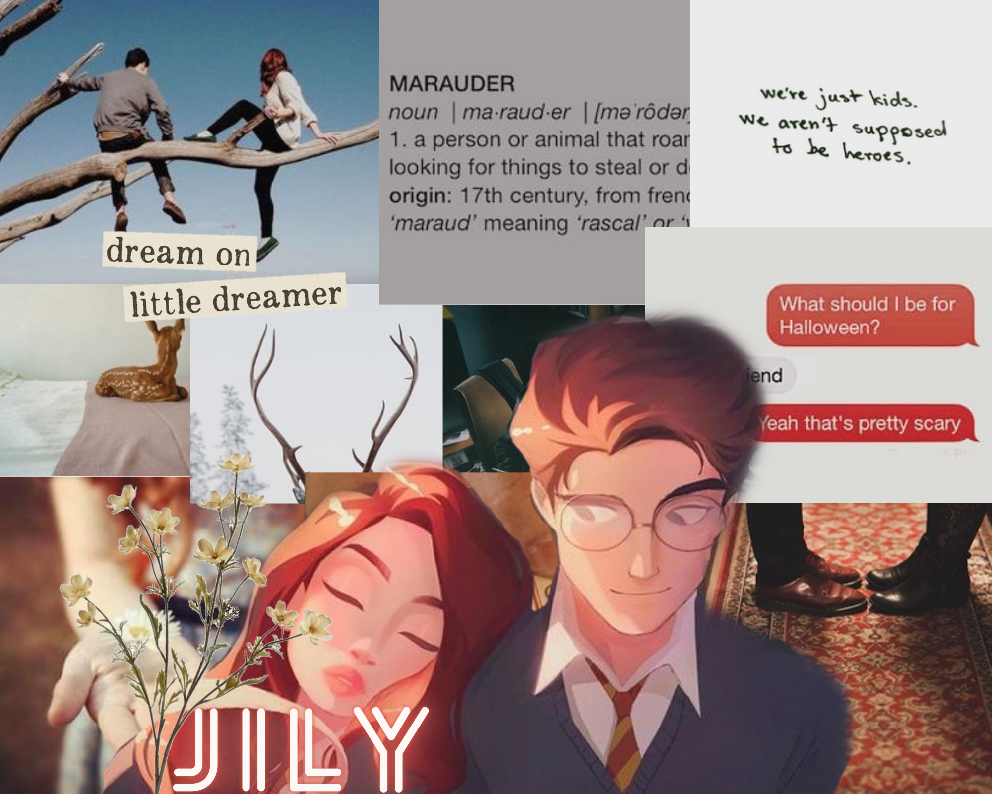 Aesthetics Fandom