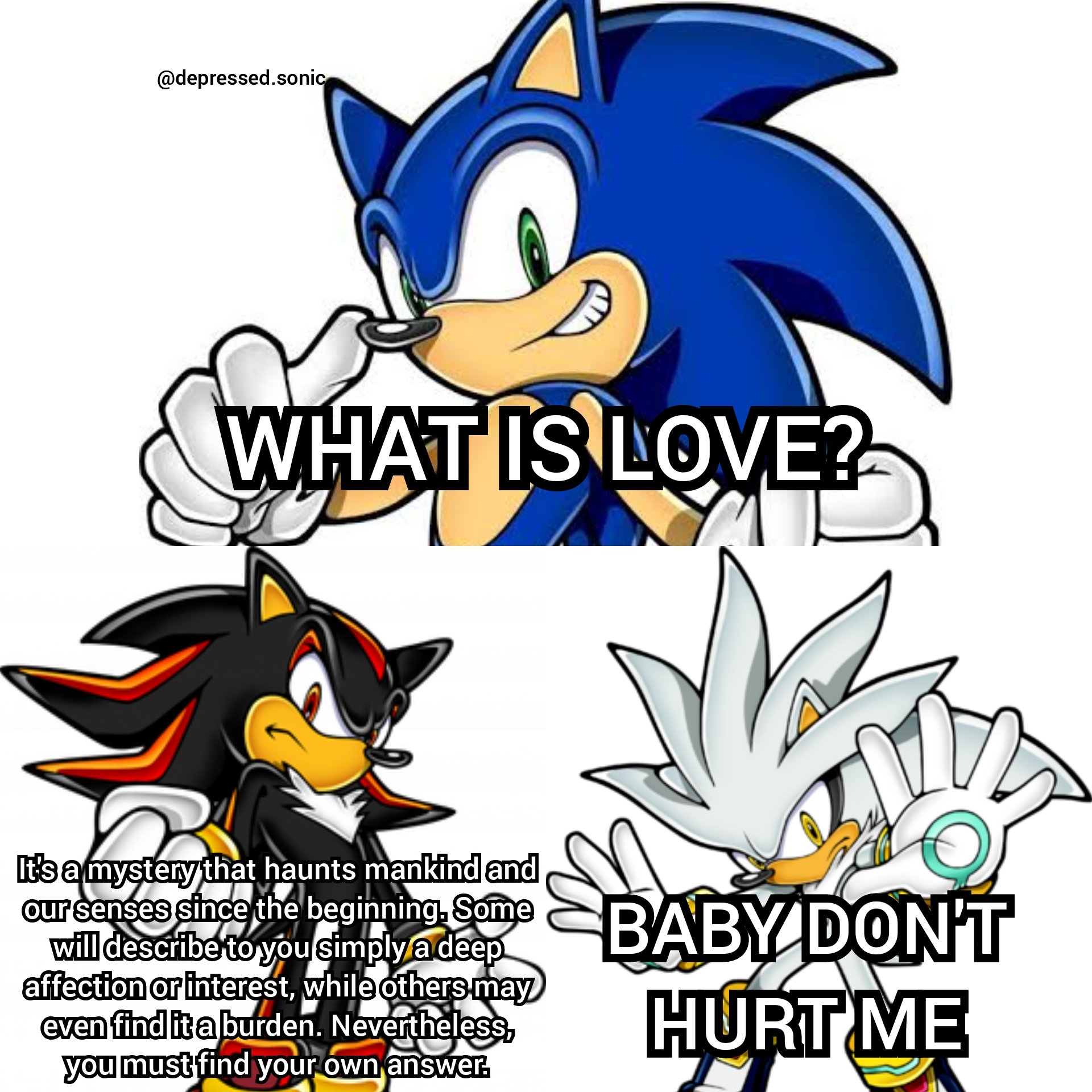 discorded sonic x