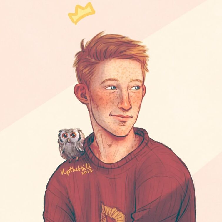 Fandom Image
