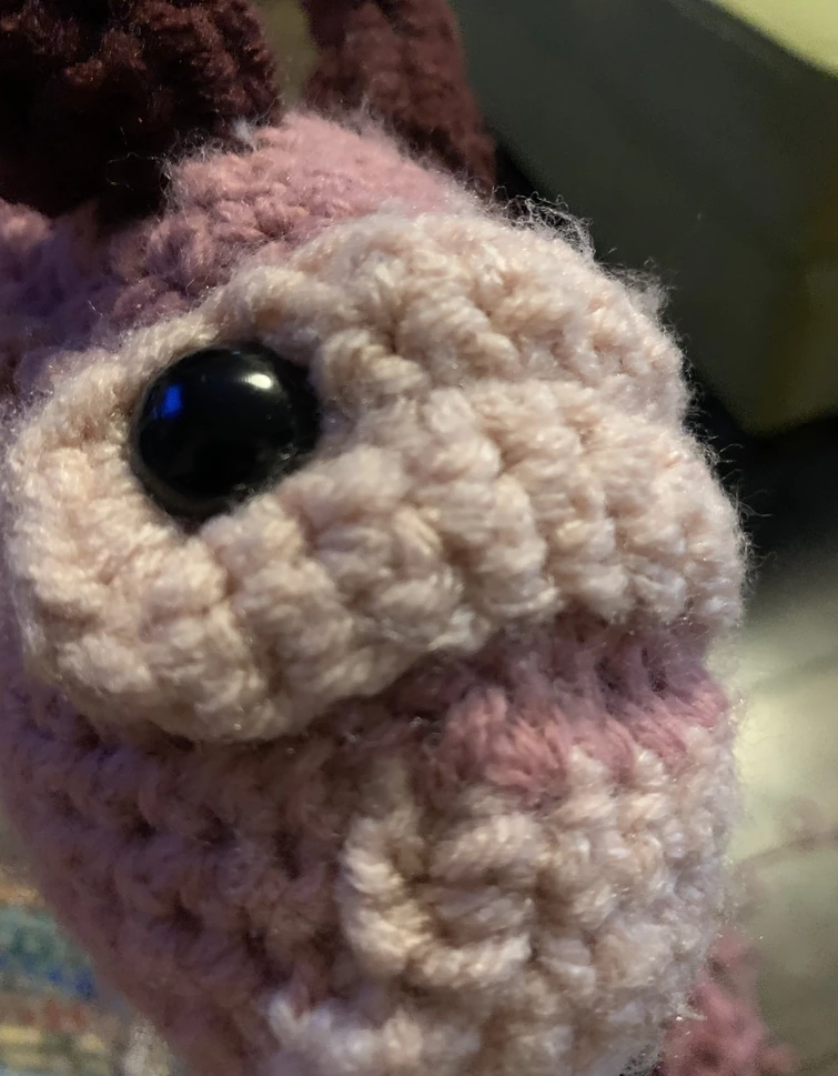 honey went to claires and got her ears pierced (is that the ear