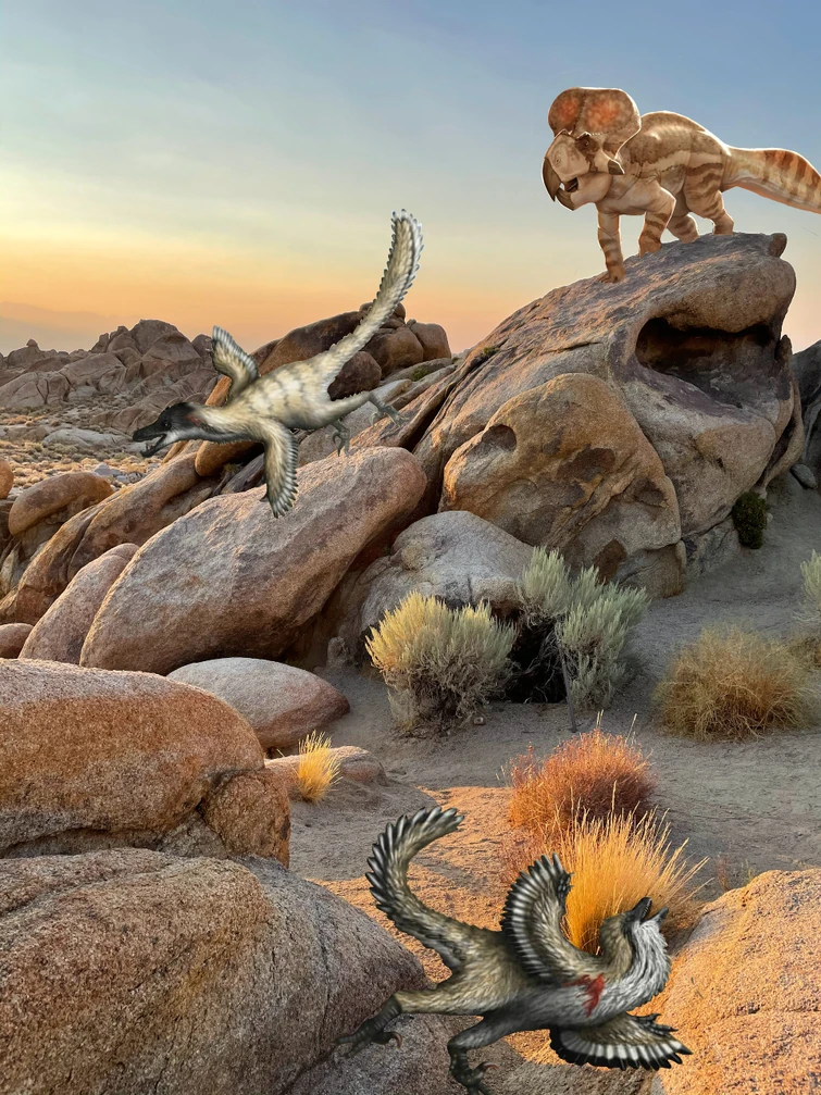 Dino photo editing competition 2 | Fandom