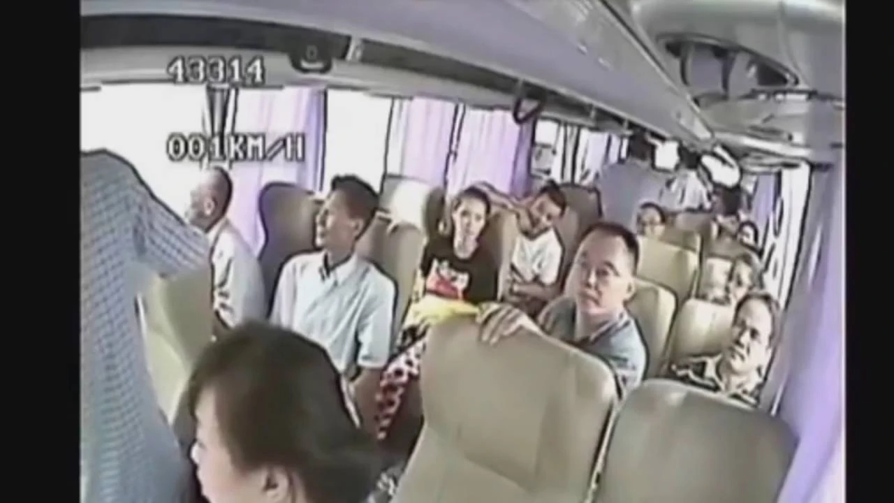 seat belts everyone Fandom