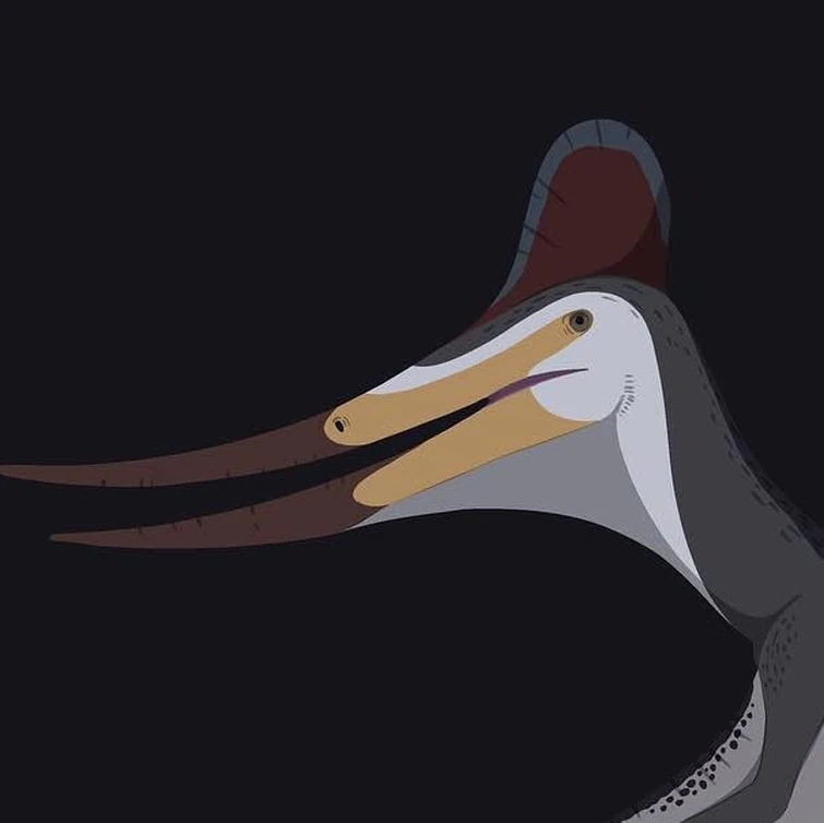 Lancian Idolatry on Instagram: "The Hell Creek Pterandontian - Unpublished, the Hell Creek pteranodontian (pteranodontia indet.) is still relatively well known in terms of notoriety. Presumably a close relative to the pterandontids that lived in the ear...