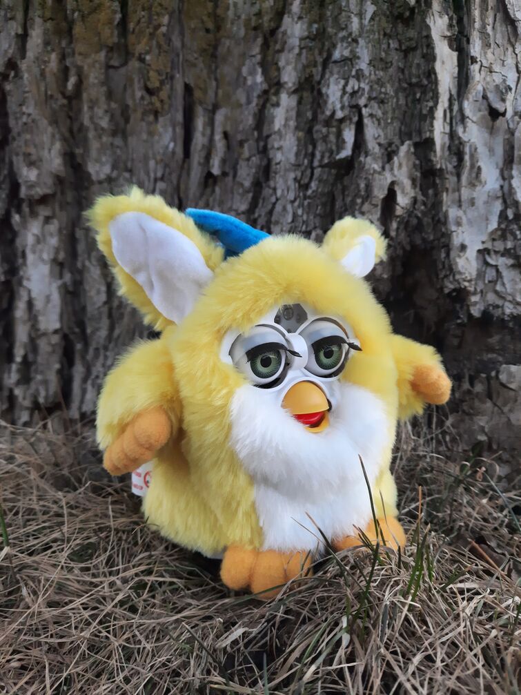 Fandom Image