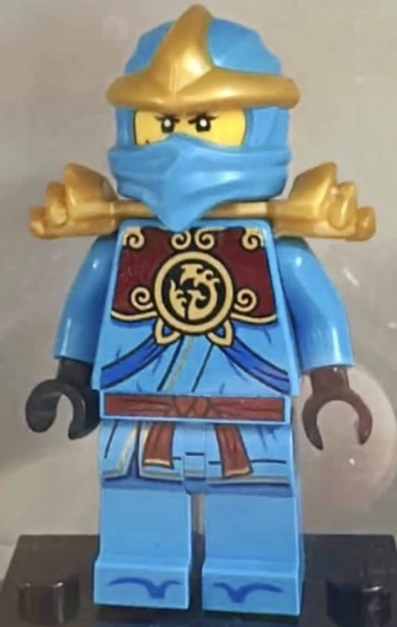 A Better Look At ZX Nya | Fandom