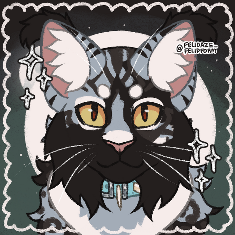 I used felidaze's picrew creator to make all the protagonists and  antagonists of my story! More in the comments : r/WarriorCats