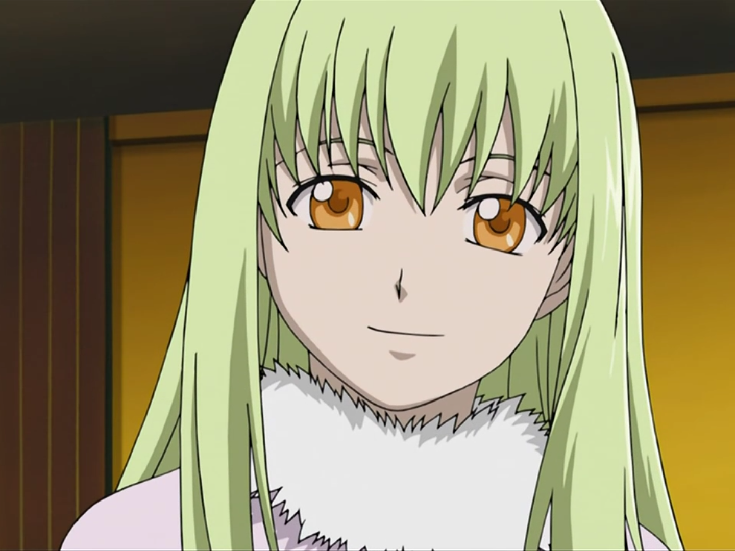 Amber | Darker than Black Wiki | Fandom