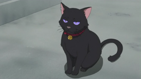 Mao Darker Than Black Wiki Fandom