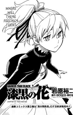 Doujinshi: Darker than Black - Black Star · How Ionic · Online Store  Powered by Storenvy