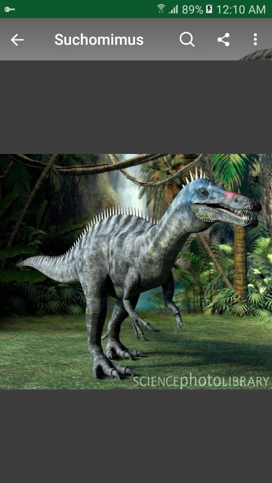 Baryonyx vs Suchomimus | Fandom