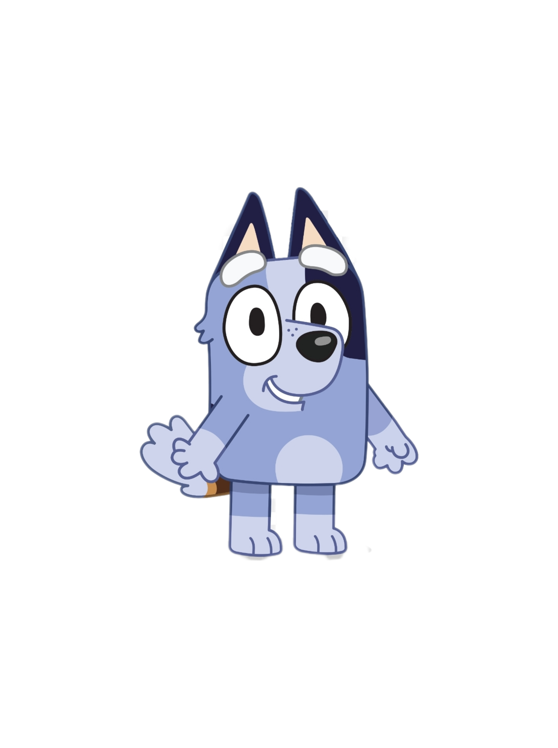 Socks heeler once said fandom