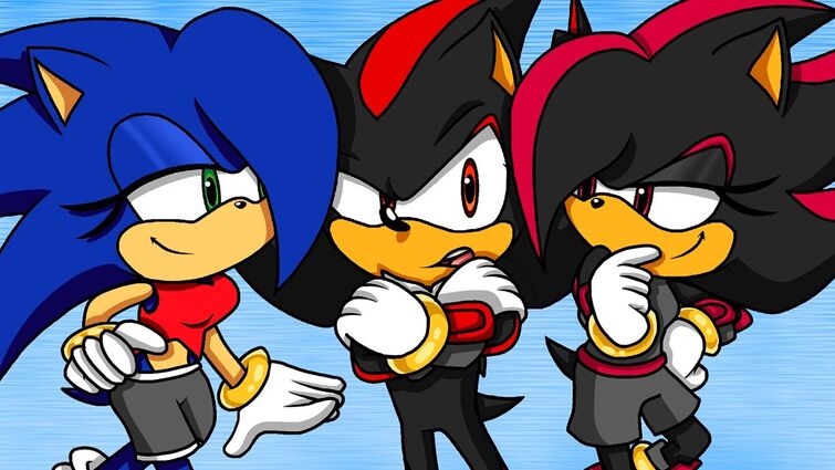Shadow the hedgehog and silver the hedgehog channel videos